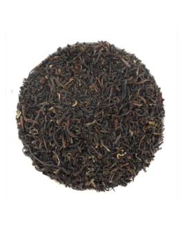 Thé noir Darjeeling : l’élégance des grands jardins indiens